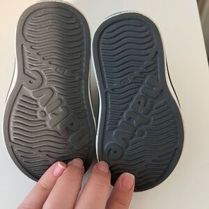 Native Shoes Miles in Grey